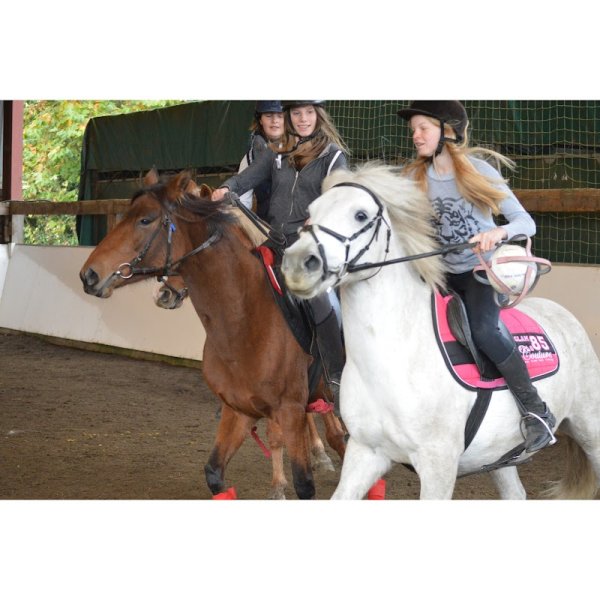 Les Ecuries de La Tuilerie - photo 3