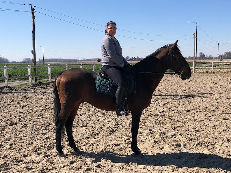 Haras du Lannoy - photo 2