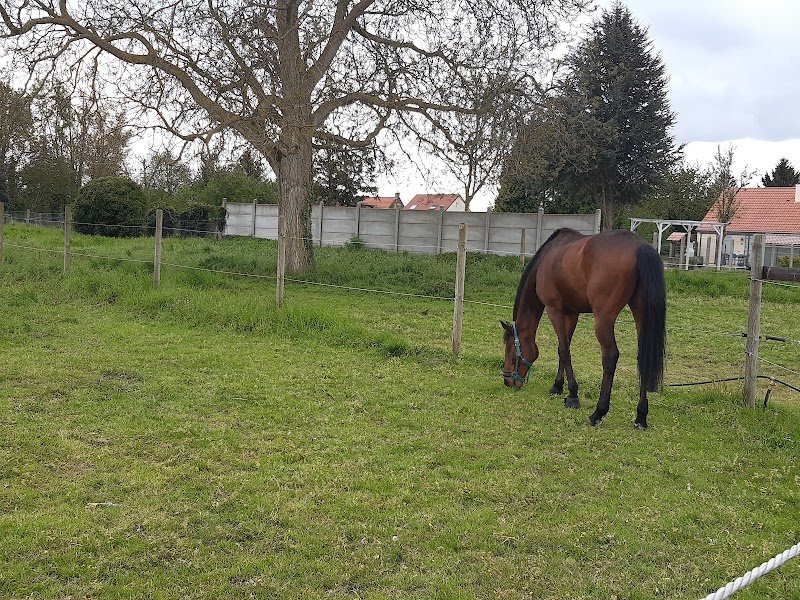 Les Ecuries De Fressies - photo 3
