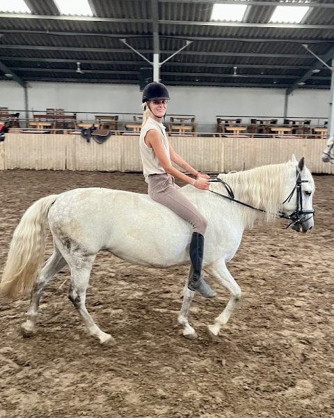 Centre équestre de Ribécourt la Tour - photo 3