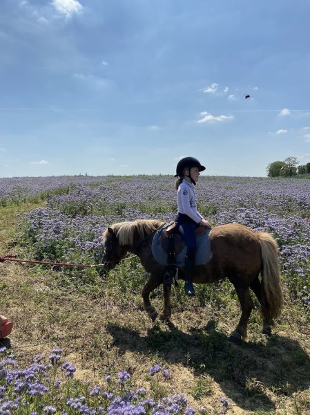 CENTRE EQUESTRE DE CAGNONCLES - photo 1