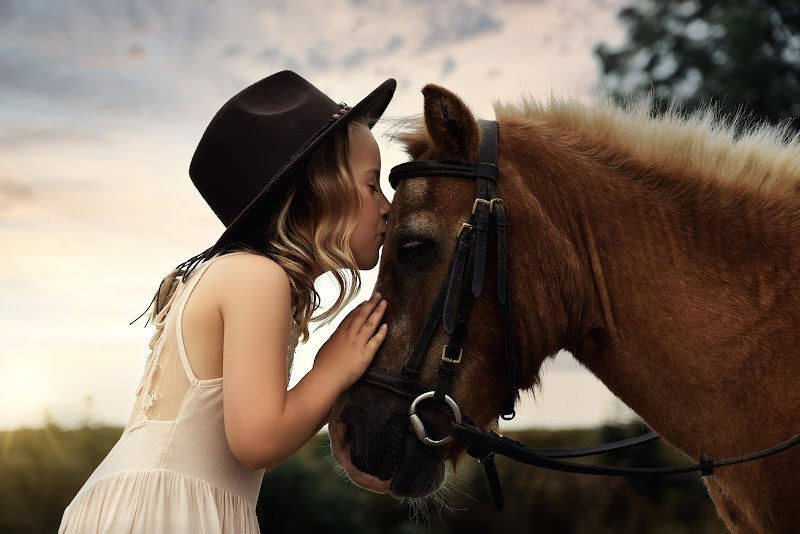 CENTRE EQUESTRE DE CAGNONCLES - photo 2