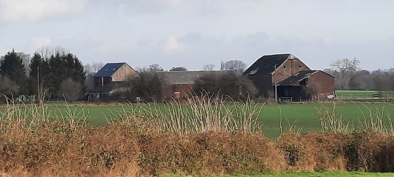 Ferme équestre du Grand Bois - photo 3