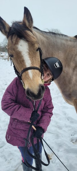 Les Ecuries Grande Earl - photo 3