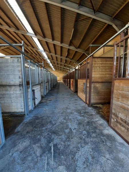 Ecurie du Tit'Horse - photo 1