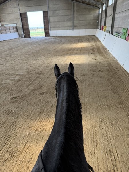 Ecurie du Tit'Horse - photo 2