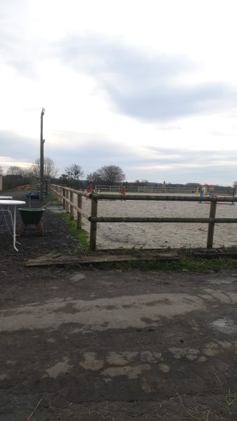 Écurie Du Cocq - photo 2