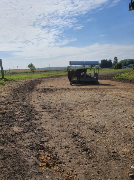 Écurie de l'Audace - photo 2