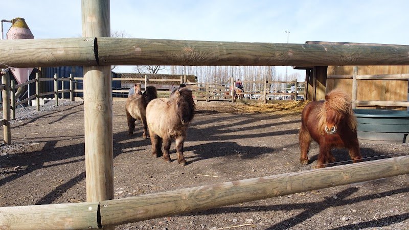 Haras Des Lilas Blancs - photo 2