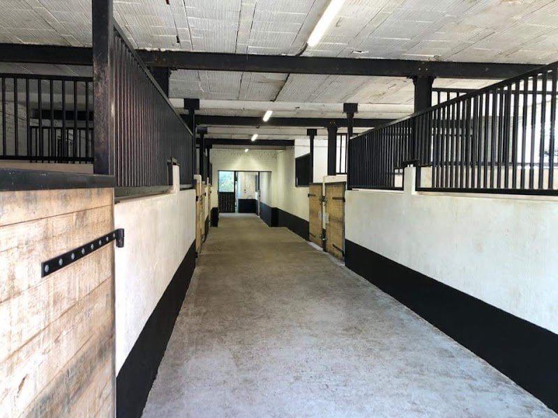 Haras Des Lilas Blancs - photo 3