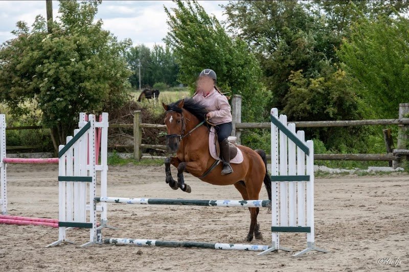 Ecuries La Haute Porte - photo 2