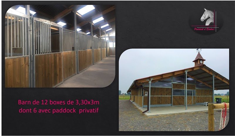 ECURIE PADDOCK D'ETOILES - photo 1