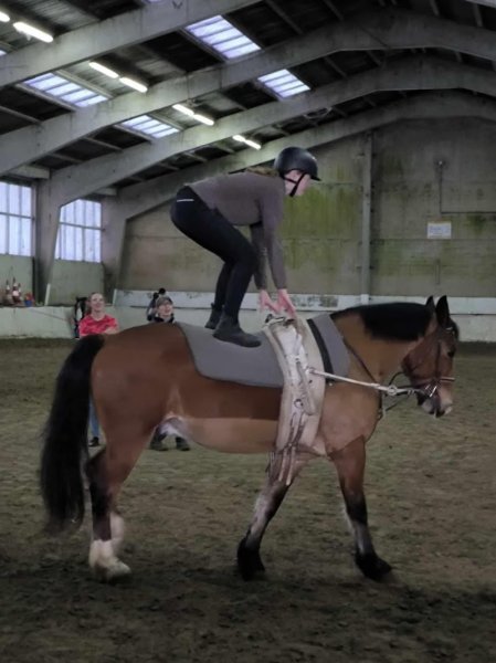 Centre Équestre de Frelinghien - photo 3