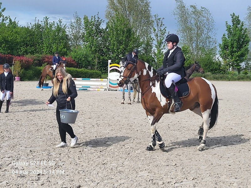Haras de l'Ermitage - photo 2