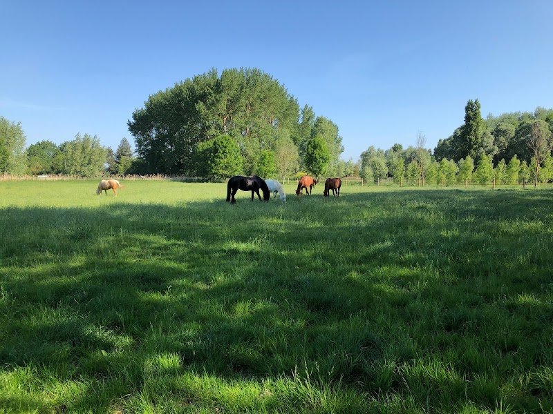 Les écuries du Quentin - photo 1
