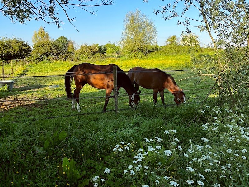 Les écuries de Laventie