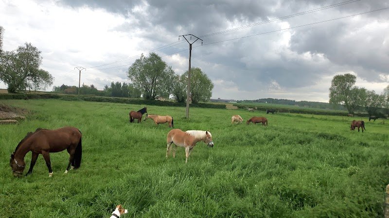 Ecurie du Lange-Veld