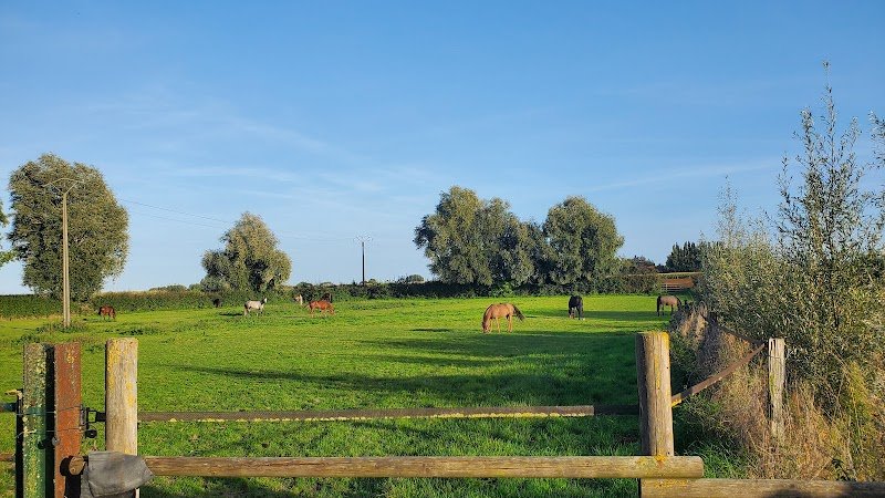 Ecurie du Lange-Veld - photo 2