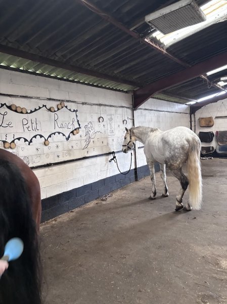 Ecuries Santrain - photo 1