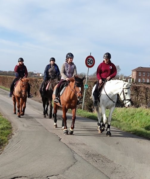 Ecuries Santrain - photo 2