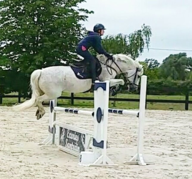 Ecuries Santrain - photo 3