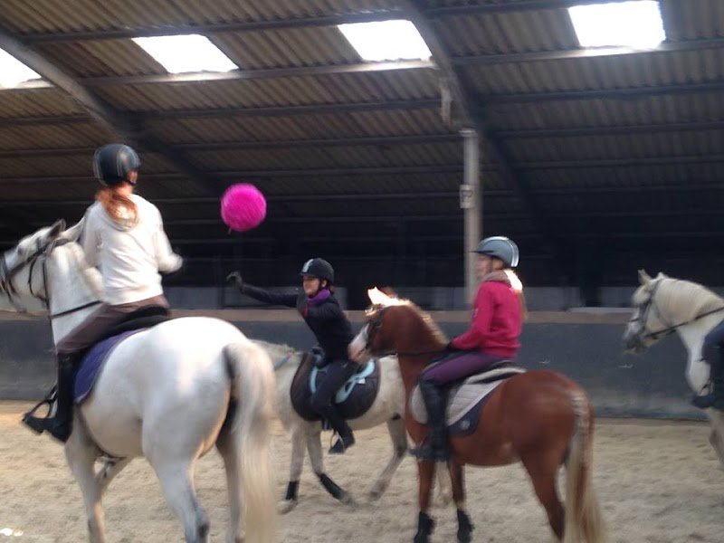 Ecuries les Cinq Chemins