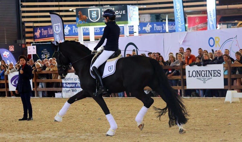 Ecuries de Brevam - photo 1