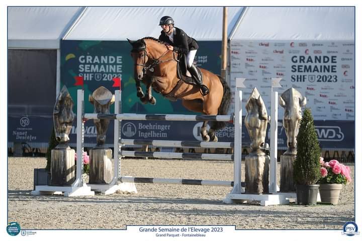 Ecurie David Gesquiere - photo 1