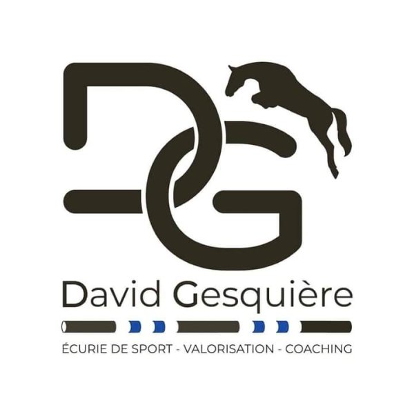 Ecurie David Gesquiere - photo 3