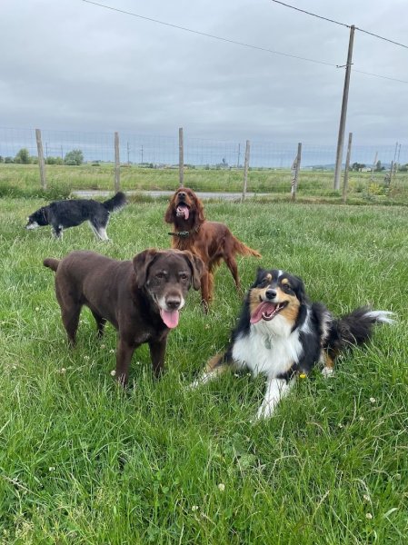 Pension le clos des museaux - photo 1