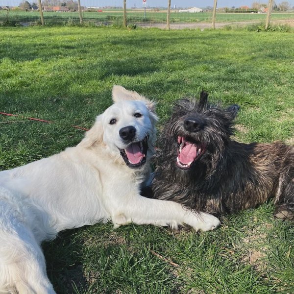 Pension le clos des museaux - photo 2