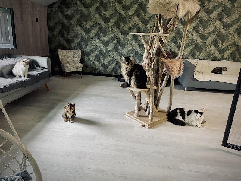 Pension le clos des museaux - photo 3