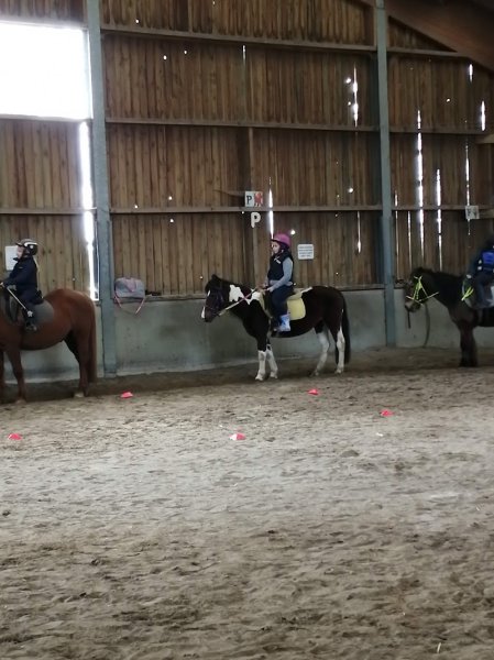 Ferme Equestre Du Marais Noir - photo 2
