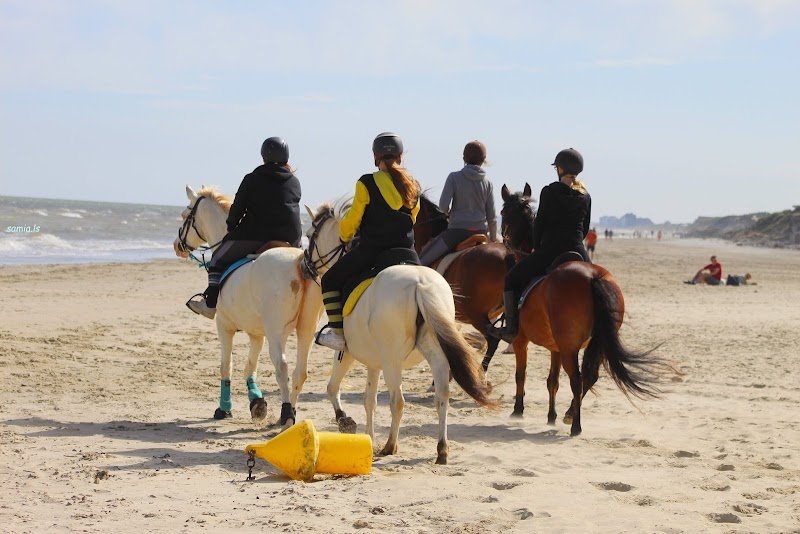 Les Ecuries du Pont Riqueult