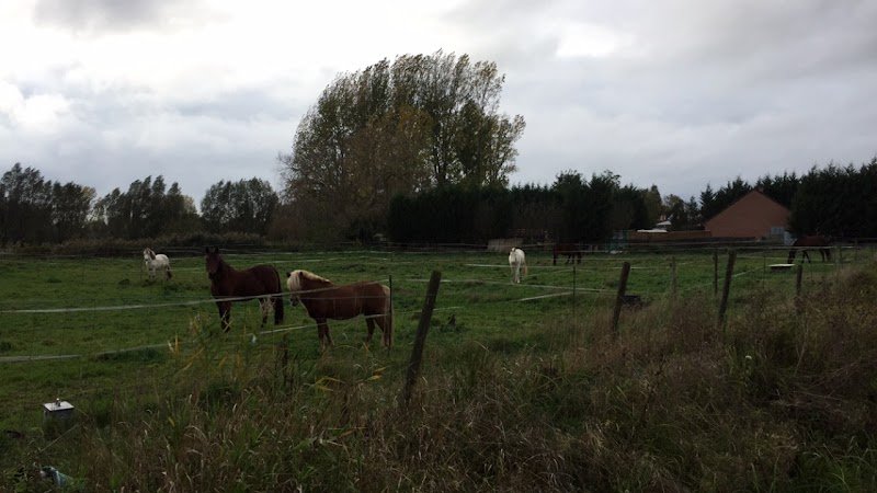 Les Ecuries du Pont Riqueult - photo 2