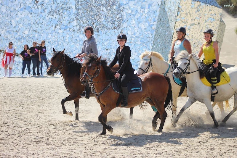 Les Ecuries du Pont Riqueult - photo 3