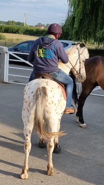 Les Ecuries du Pays de Cassel - photo 1