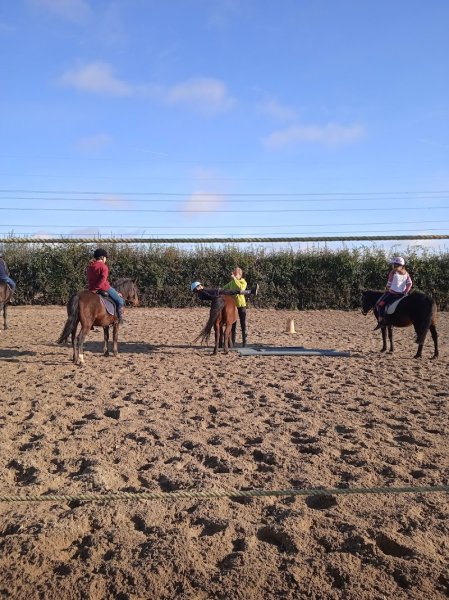 Les Ecuries du Pays de Cassel - photo 3