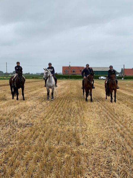 Le Logis des Cavaliers - photo 1