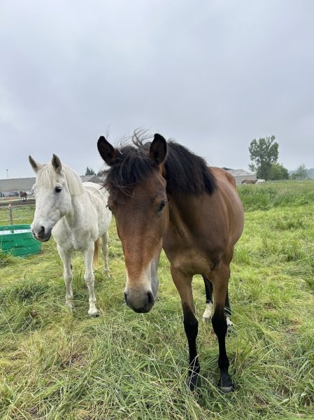 Le Logis des Cavaliers - photo 2