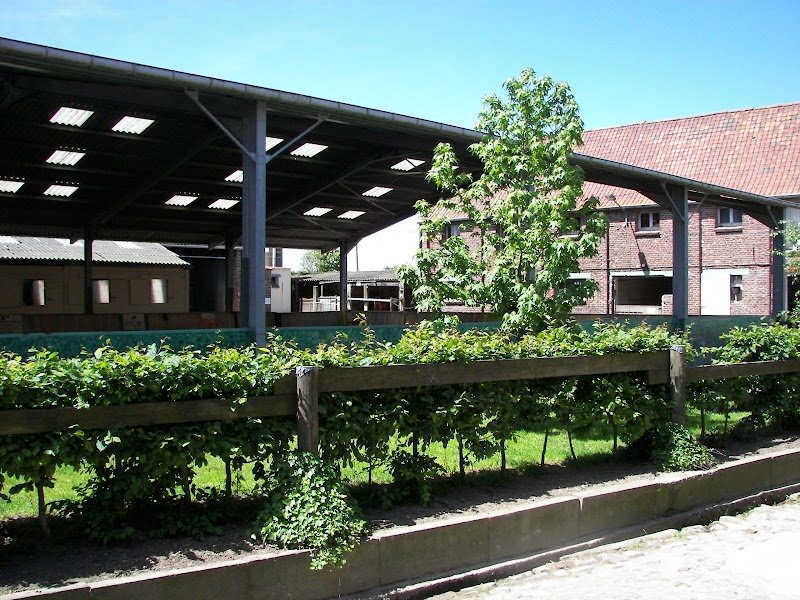 Centre équestre de Bouchain - photo 3