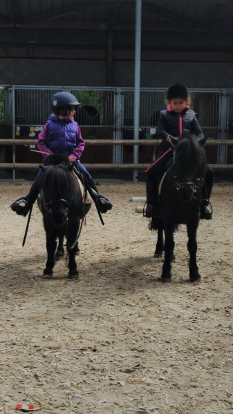 Les écuries du pré vert - photo 3