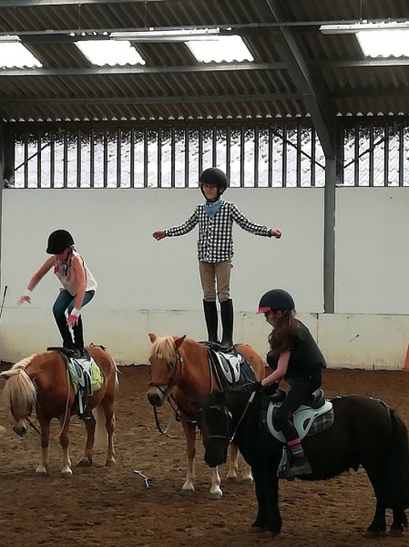 Les Écuries de Willems - photo 2