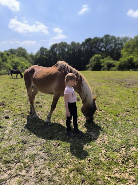 Ecurie comportementale SEDNA SELKY - photo 2