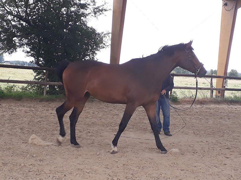 Ecuries des Hauts de Vergne