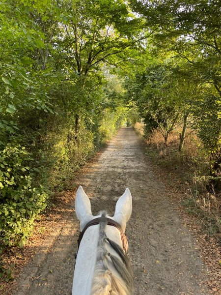 Écurie Broucqsault - photo 1