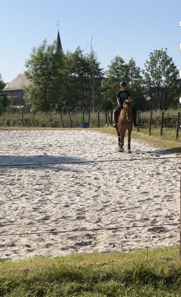 Les écuries d'aymeries - photo 2