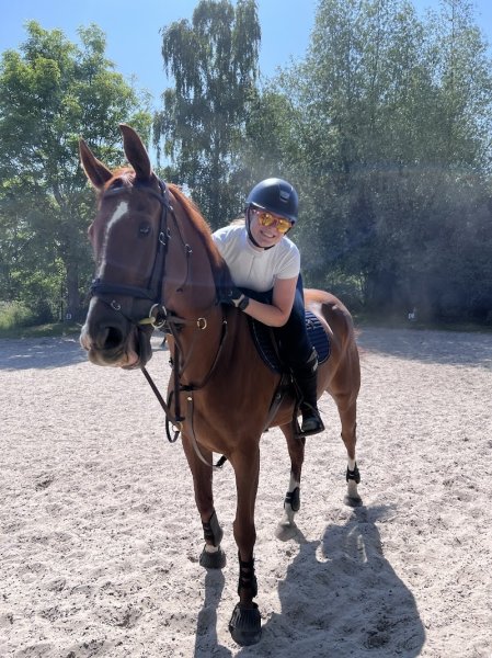 Les écuries d'aymeries - photo 3