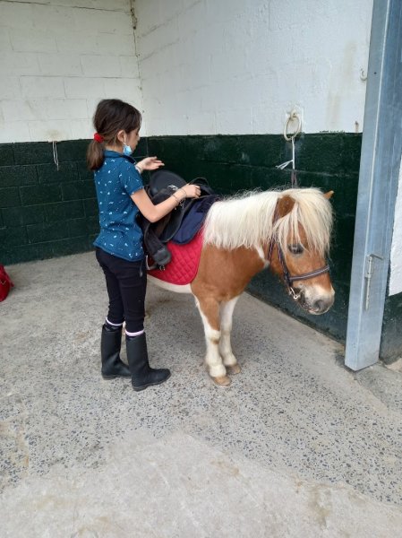 Club Hippique de Verlinghem - photo 3