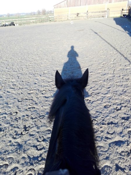 Ecurie de la Cerisaie